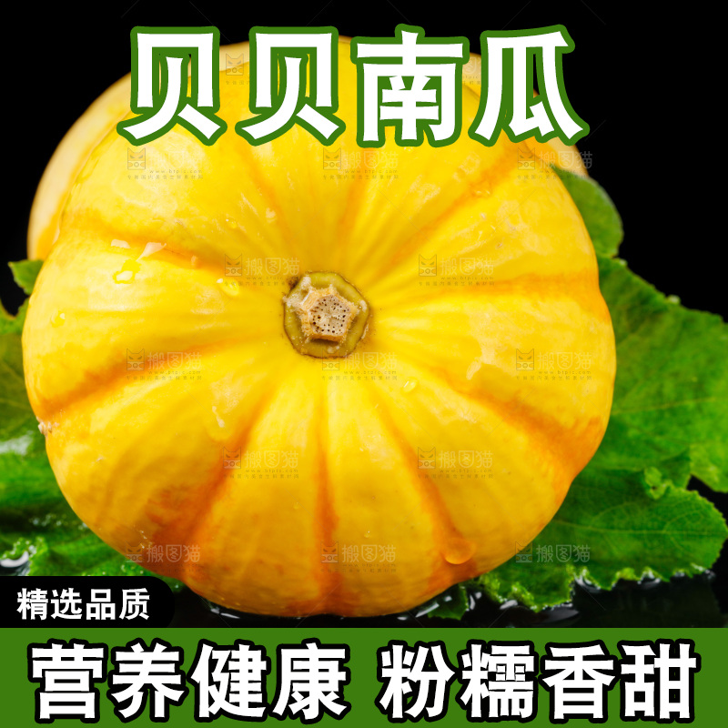 黑底上摆放着金银桔南瓜