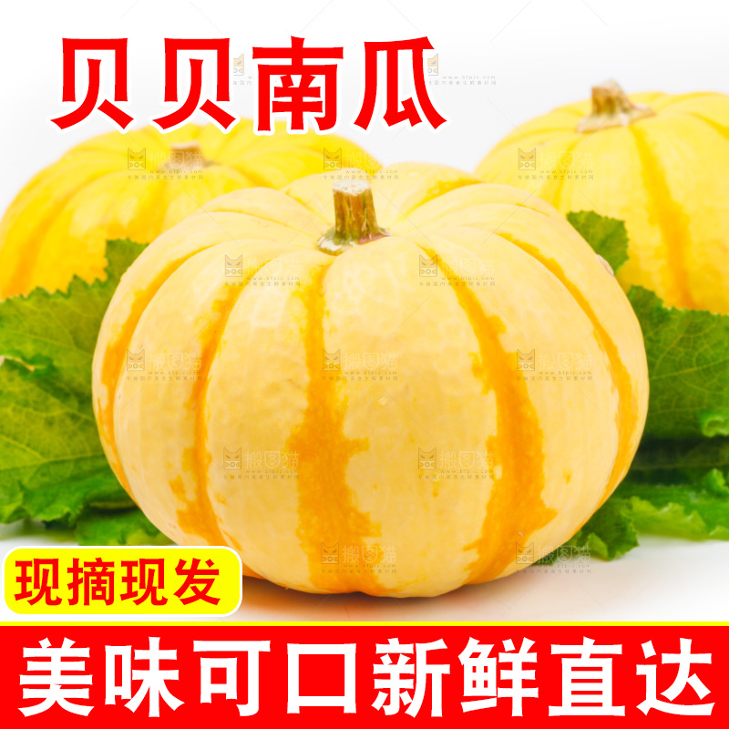 白底上放着金银桔南瓜