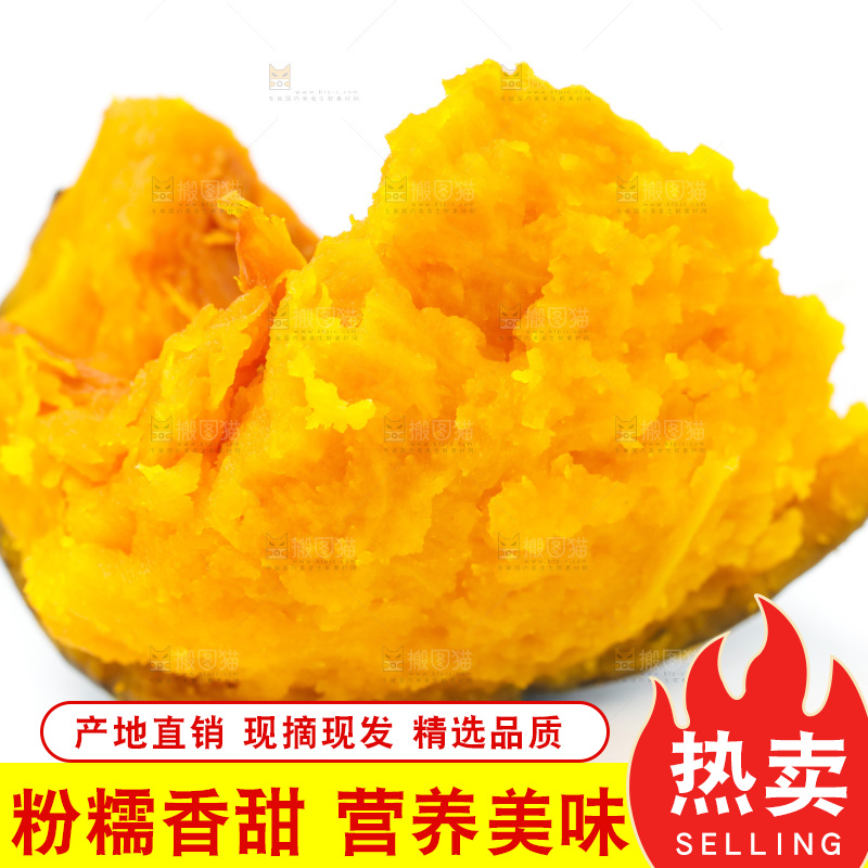 白底上摆放着板栗南瓜