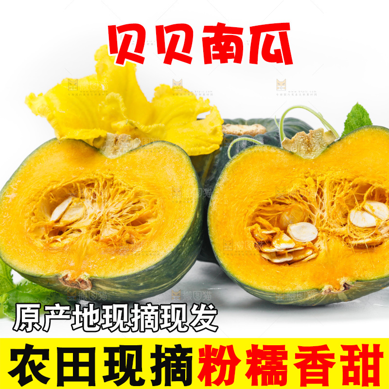 白底上摆放着贝贝南瓜