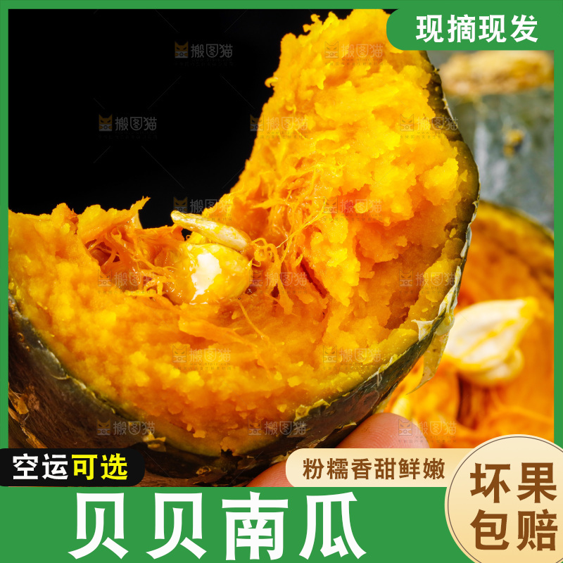 手里拿着板栗南瓜