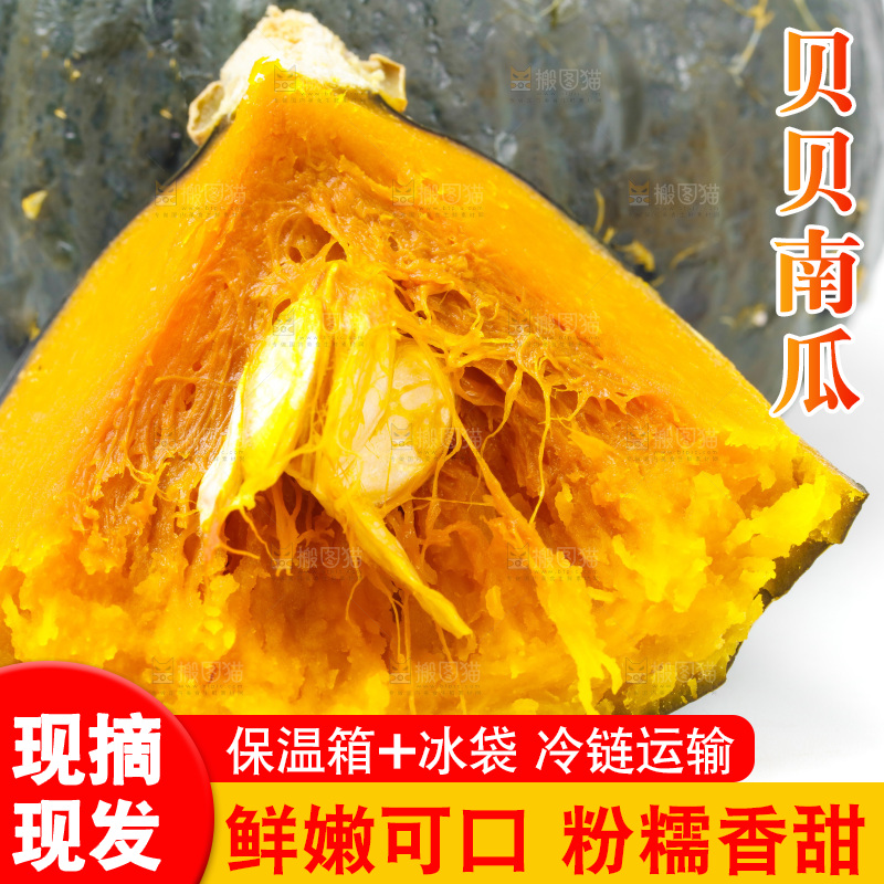 白底上摆放着绿贝贝南瓜