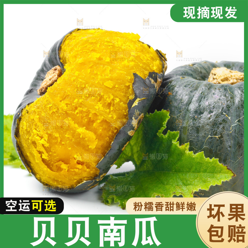 白底上放着贝贝小南瓜