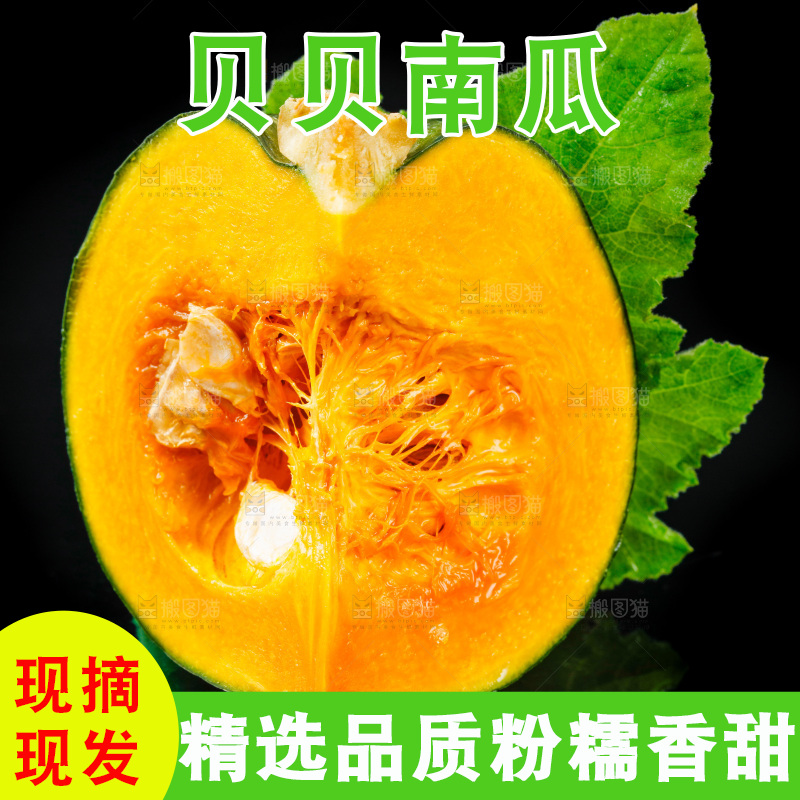 黑底上摆放着板栗南瓜