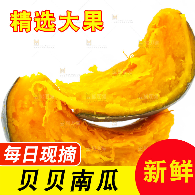 白底上摆放着绿贝贝南瓜