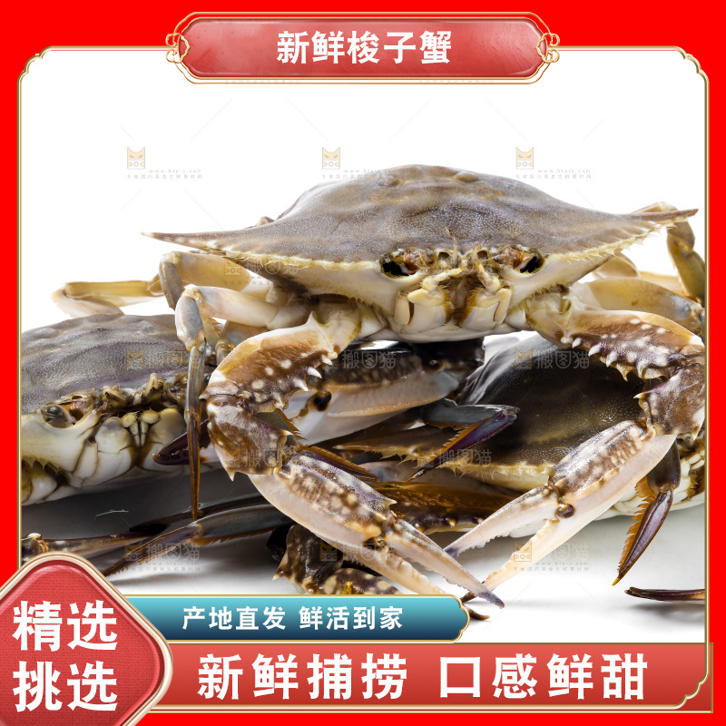 白底上放着舟山梭子蟹