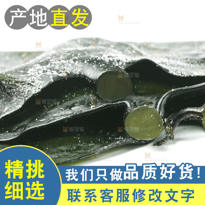 白底上摆放着海带