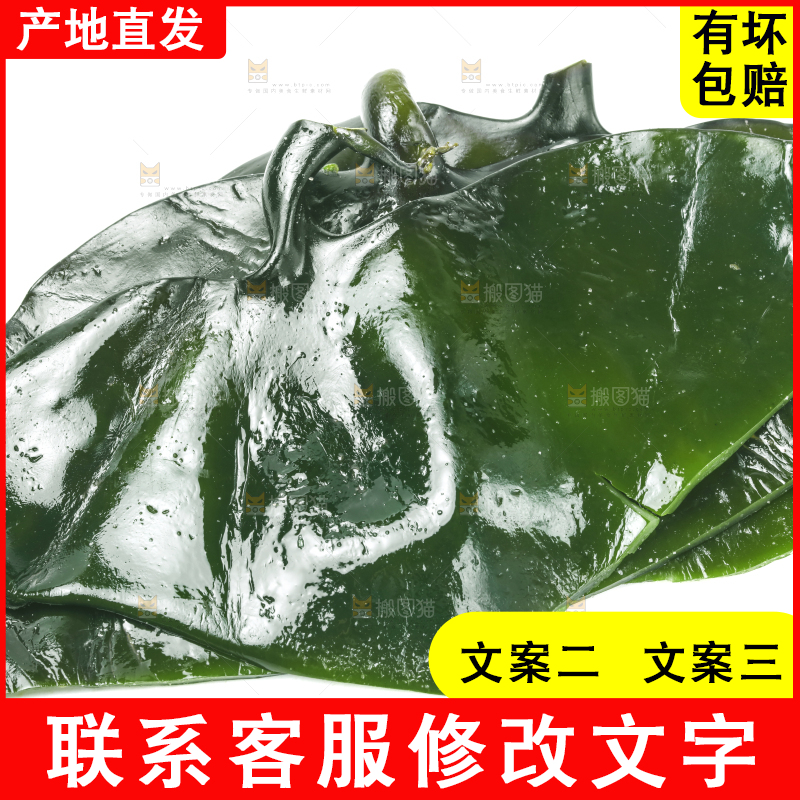 白底上摆放着海带