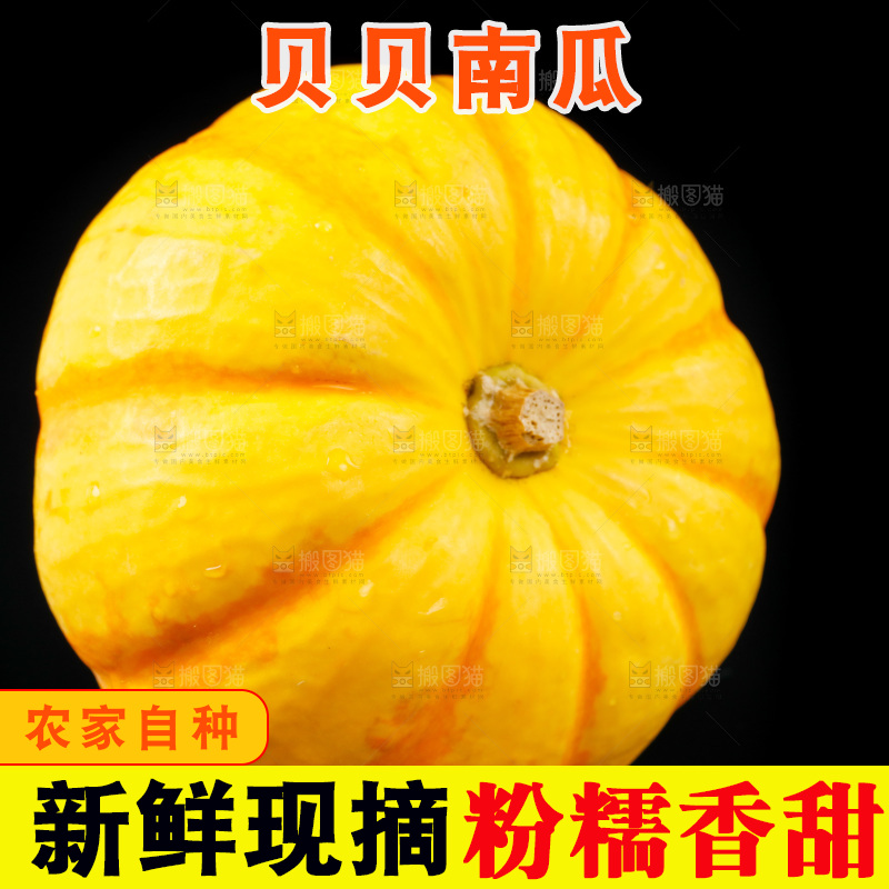 黑底上摆放着金银桔南瓜