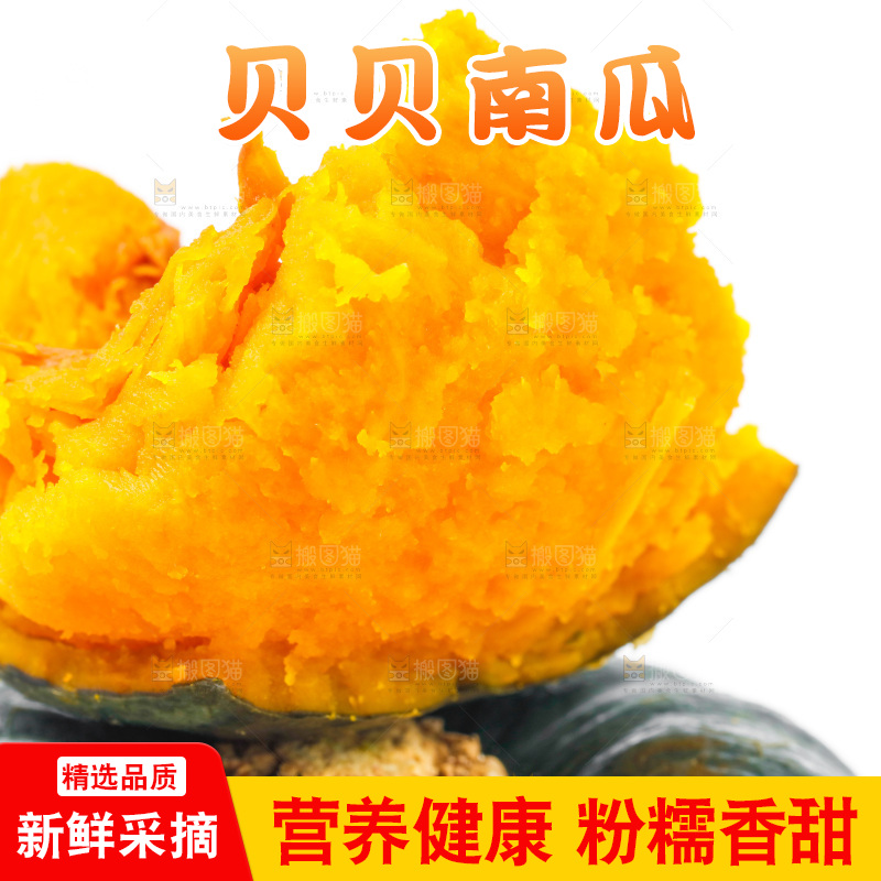 白底上摆放着板栗南瓜