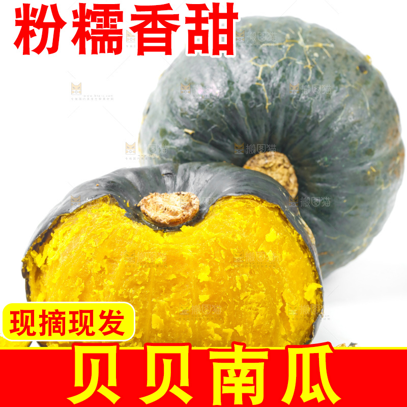 白底上摆放着板栗南瓜