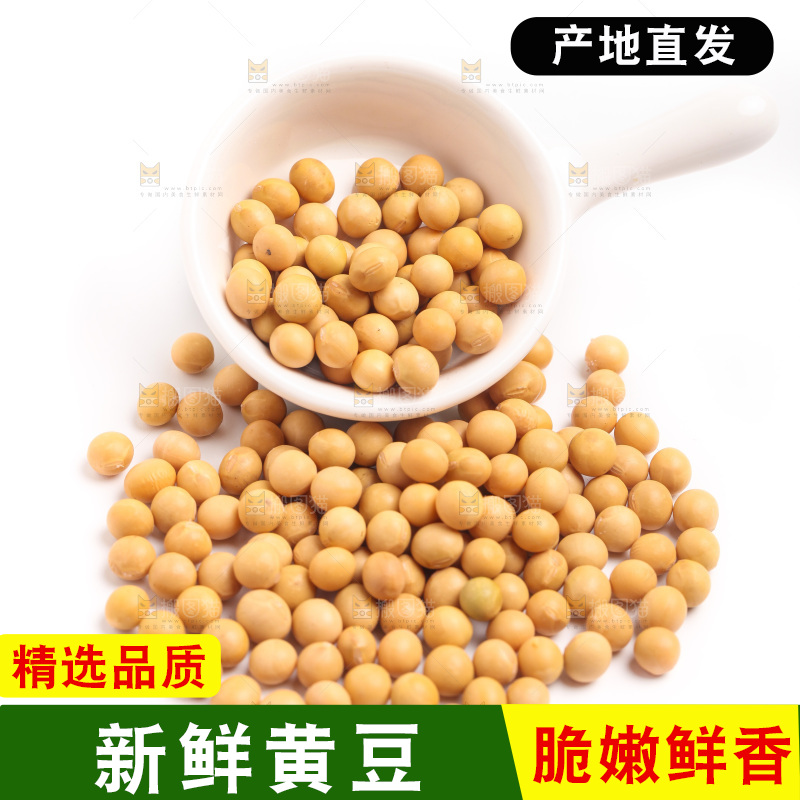 白底上放着黄豆