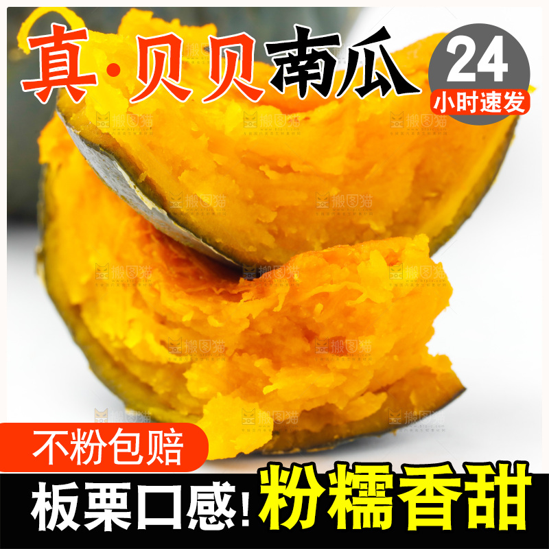 白底上摆放着绿贝贝南瓜