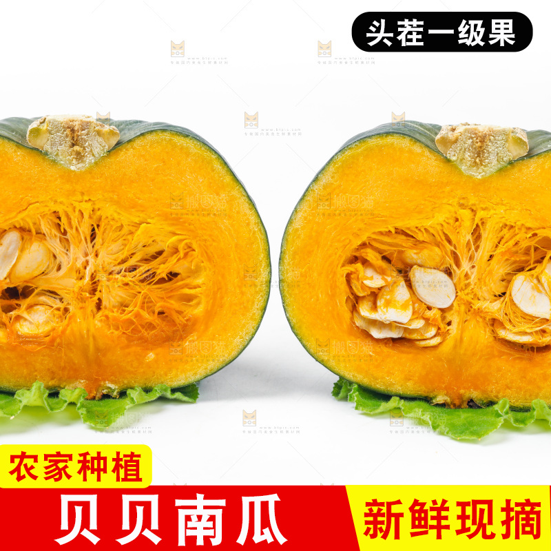 白底上摆放着贝贝南瓜
