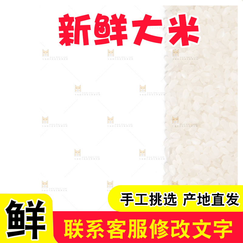 白底上的大米