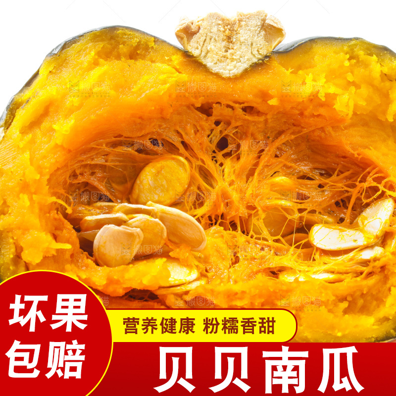 手里拿着绿贝贝南瓜