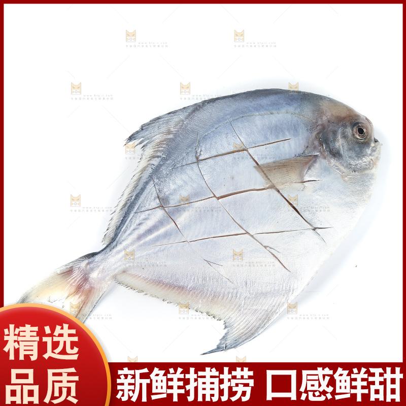 白底上放着新鲜银鲳鱼