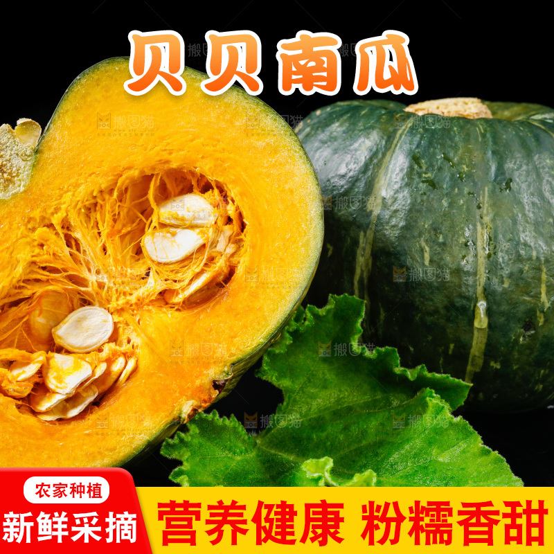深底上摆放着贝贝小南瓜