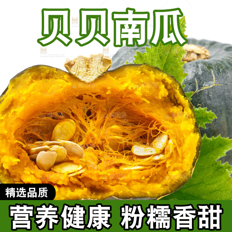 白底上放着贝贝小南瓜