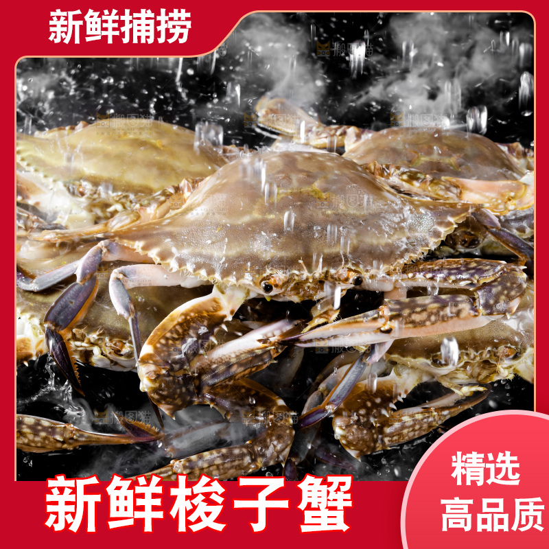 黑底上摆放着海螃蟹