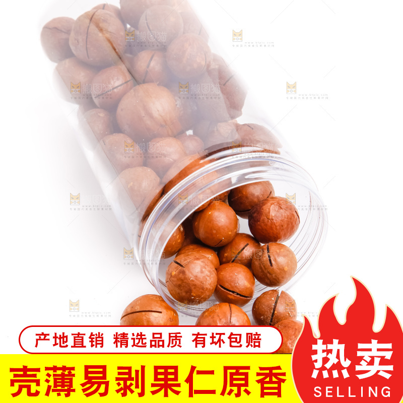 白底上的夏威夷果