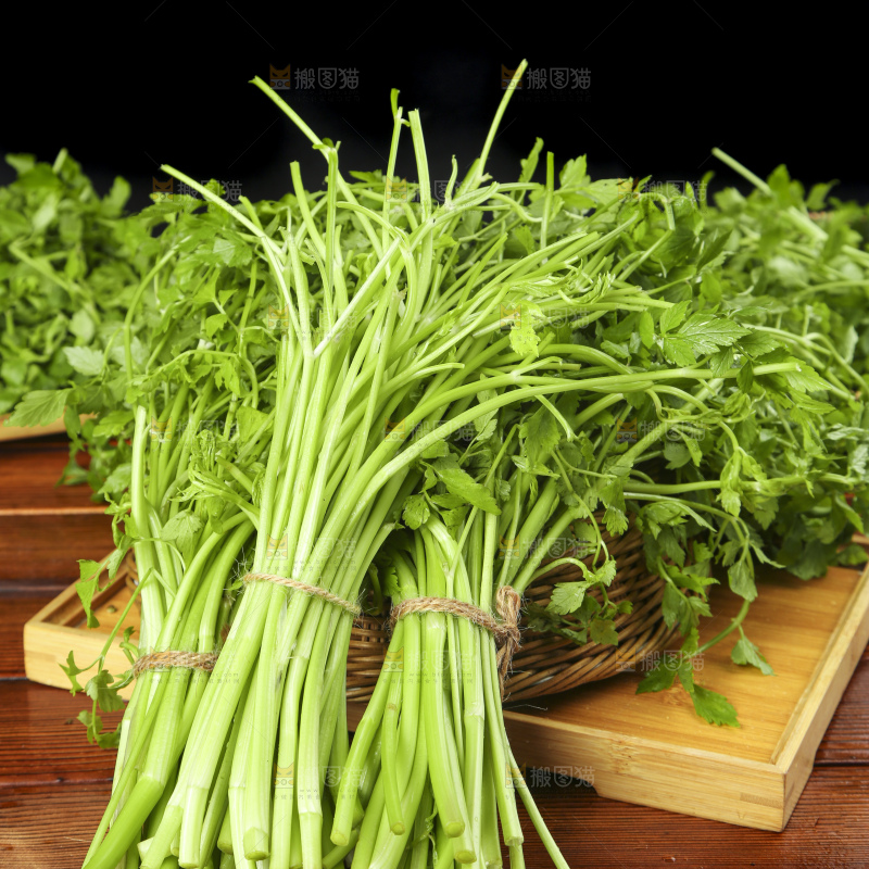 木底上的野芹菜