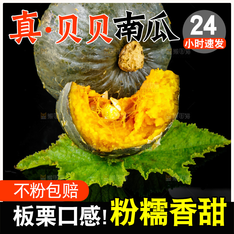 黑底上摆放着绿贝贝南瓜