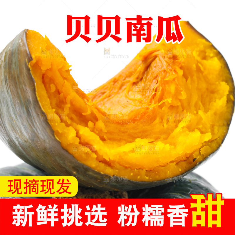 白底上放着贝贝小南瓜