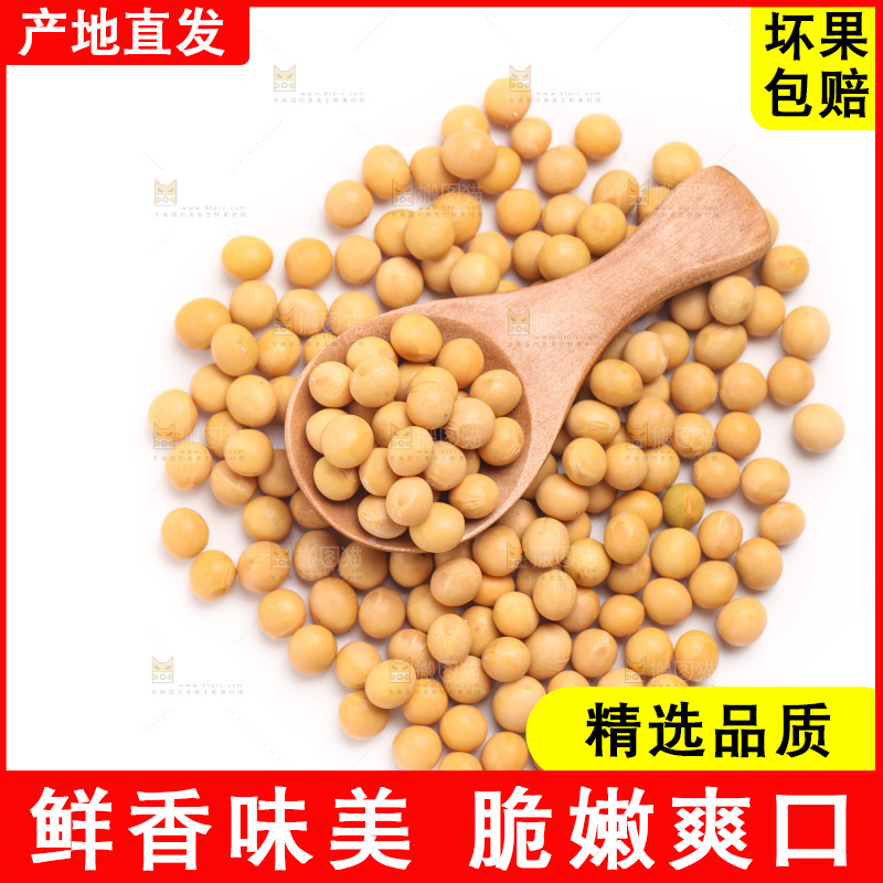 白底上放着黄豆