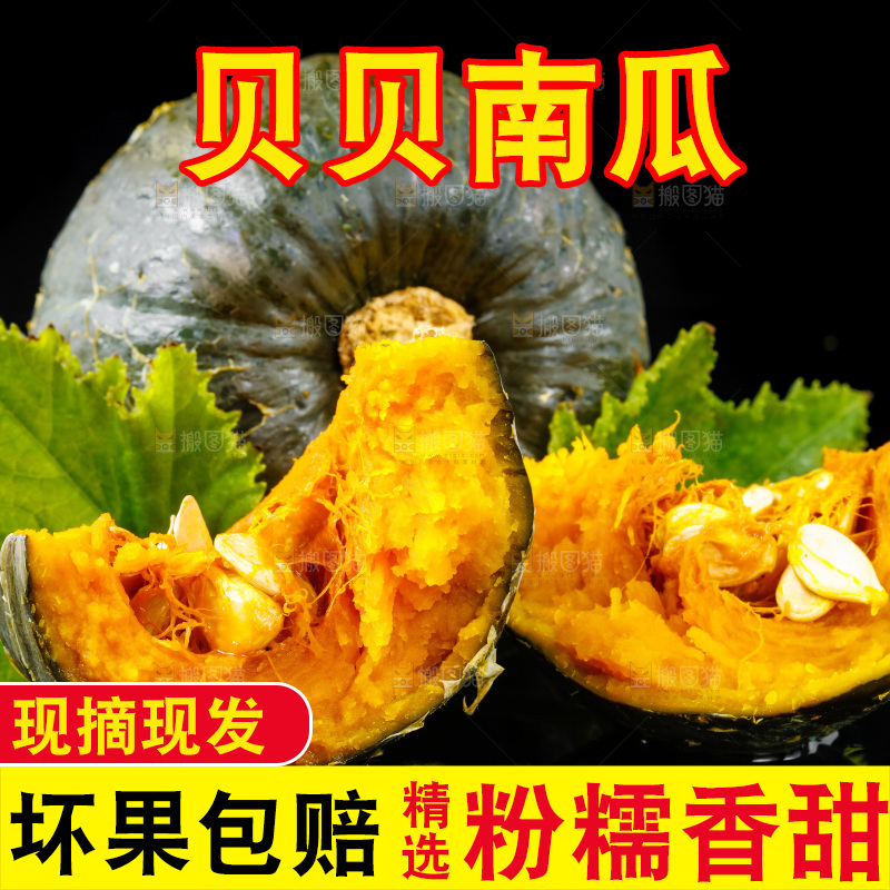 深底上摆放着贝贝小南瓜