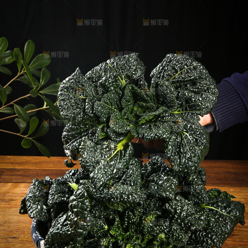 手里拿着泡泡青菜