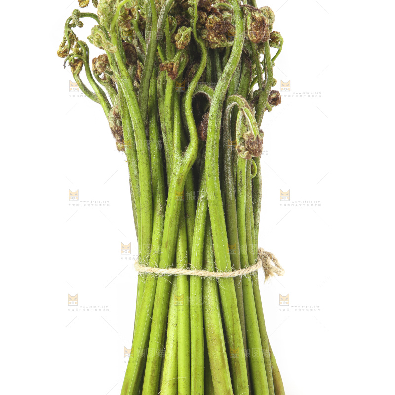 白底上放着野生蕨菜