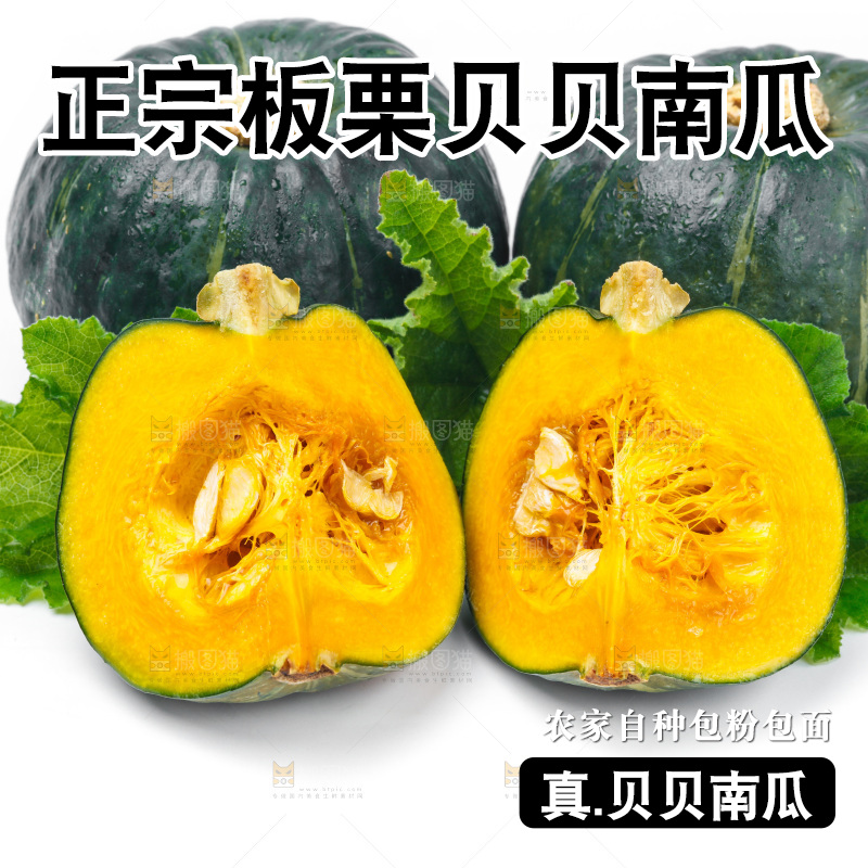 白底上摆放着绿贝贝南瓜