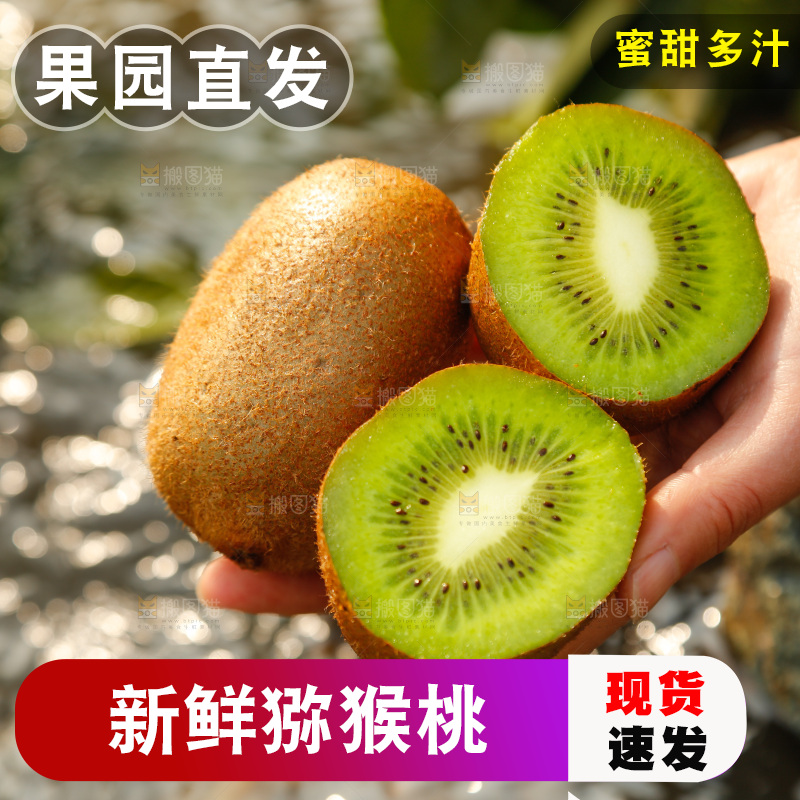 手里拿着翠香猕猴桃