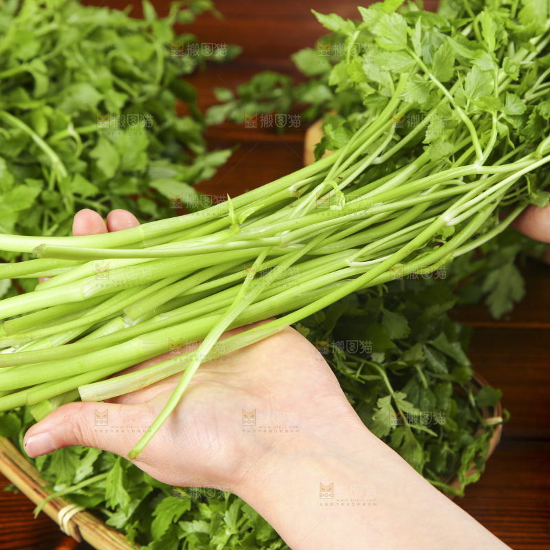 手里拿着水芹菜