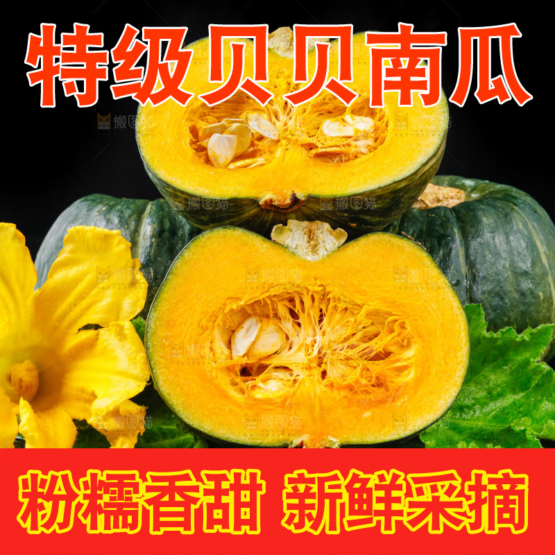 深底上摆放着贝贝小南瓜