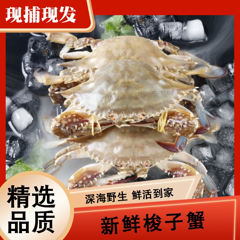 黑底上摆放着海螃蟹
