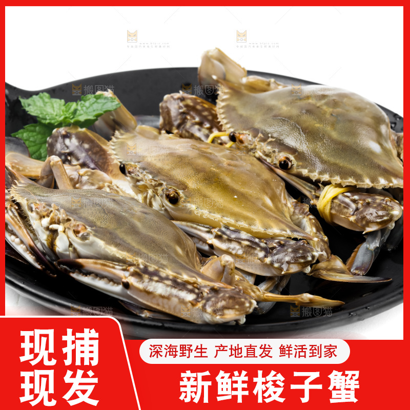 锅里摆放着新鲜梭子蟹