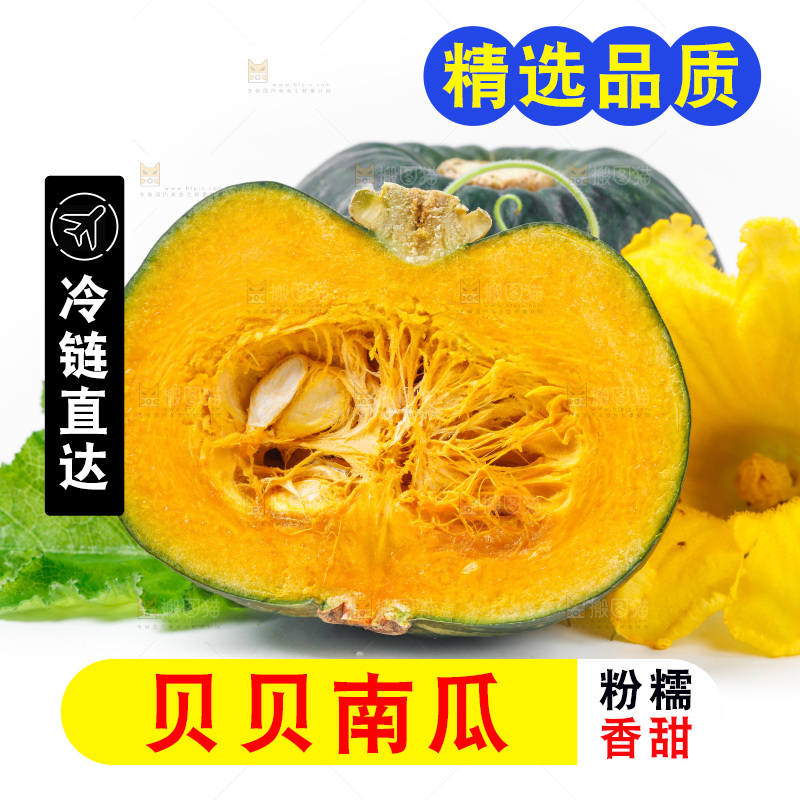 白底上摆放着贝贝南瓜