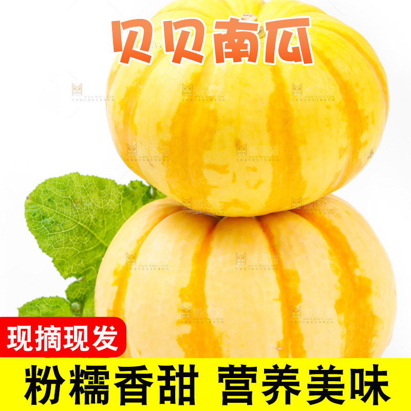 白底上放着金银桔南瓜