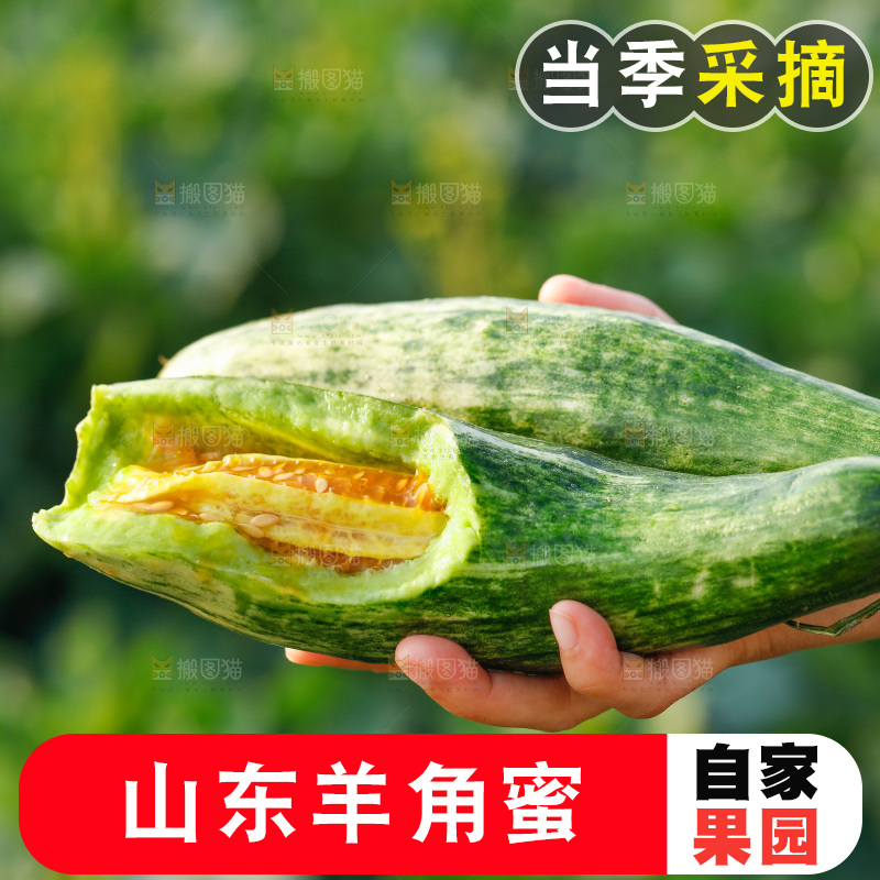 手里拿着羊角蜜甜瓜