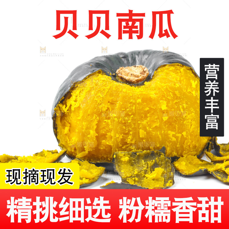 白底上摆放着板栗南瓜