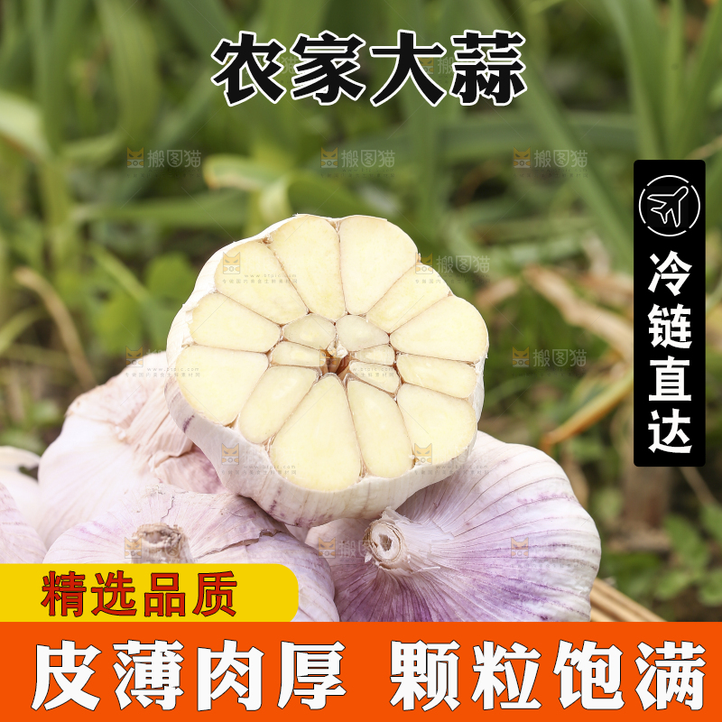 一篮多瓣蒜