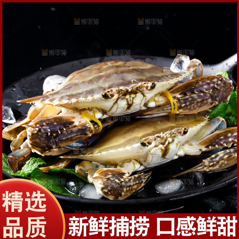 碟子装着舟山梭子蟹