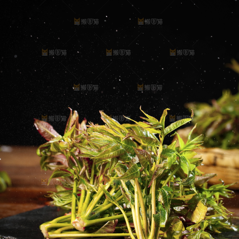 黑底上放着新鲜香椿芽