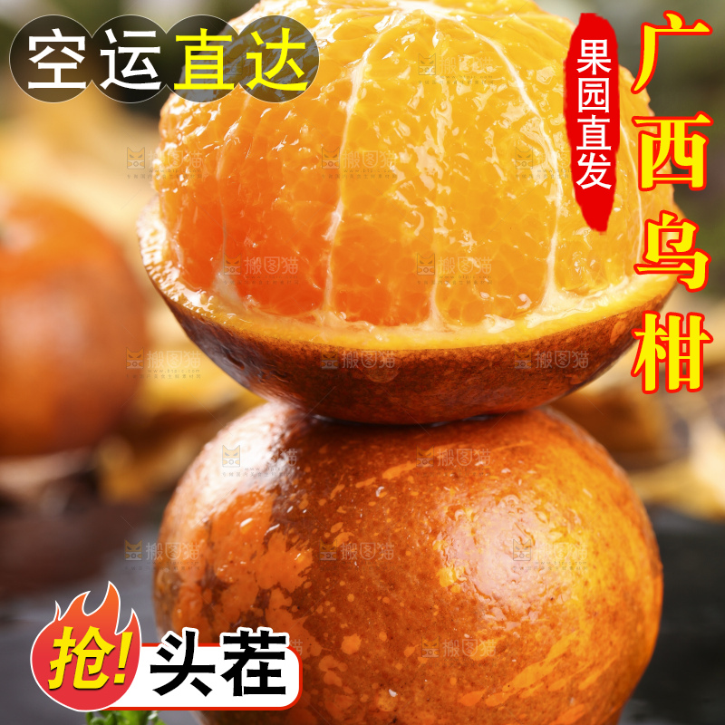 黑底上放着乌柑