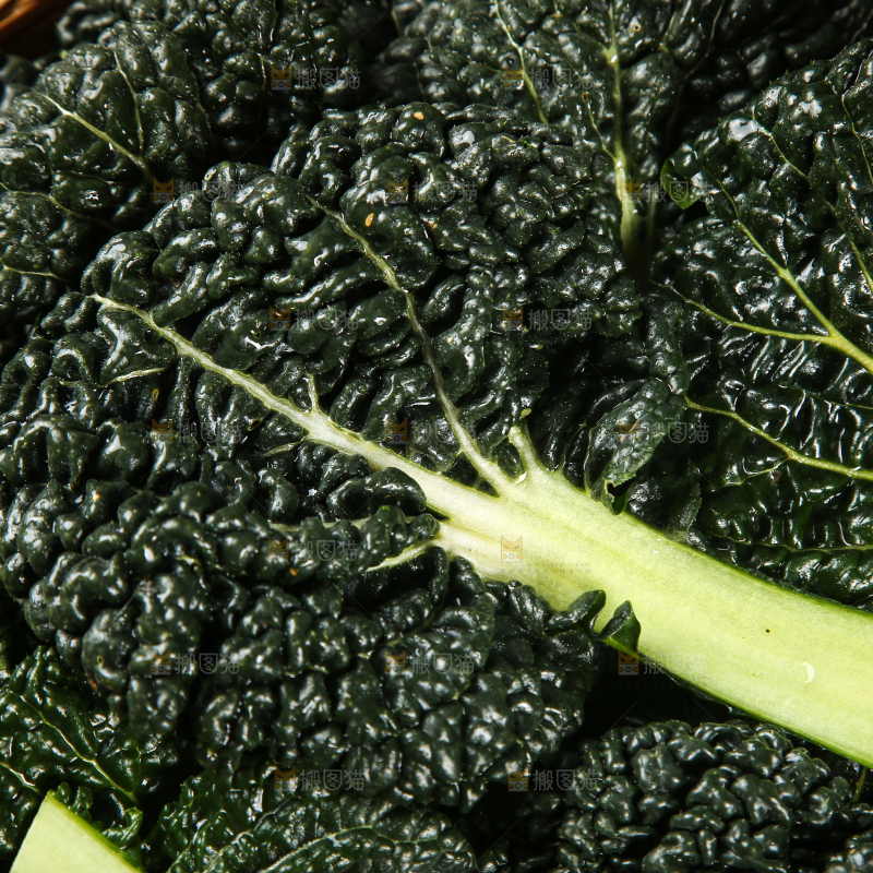 一堆新鲜泡泡菜