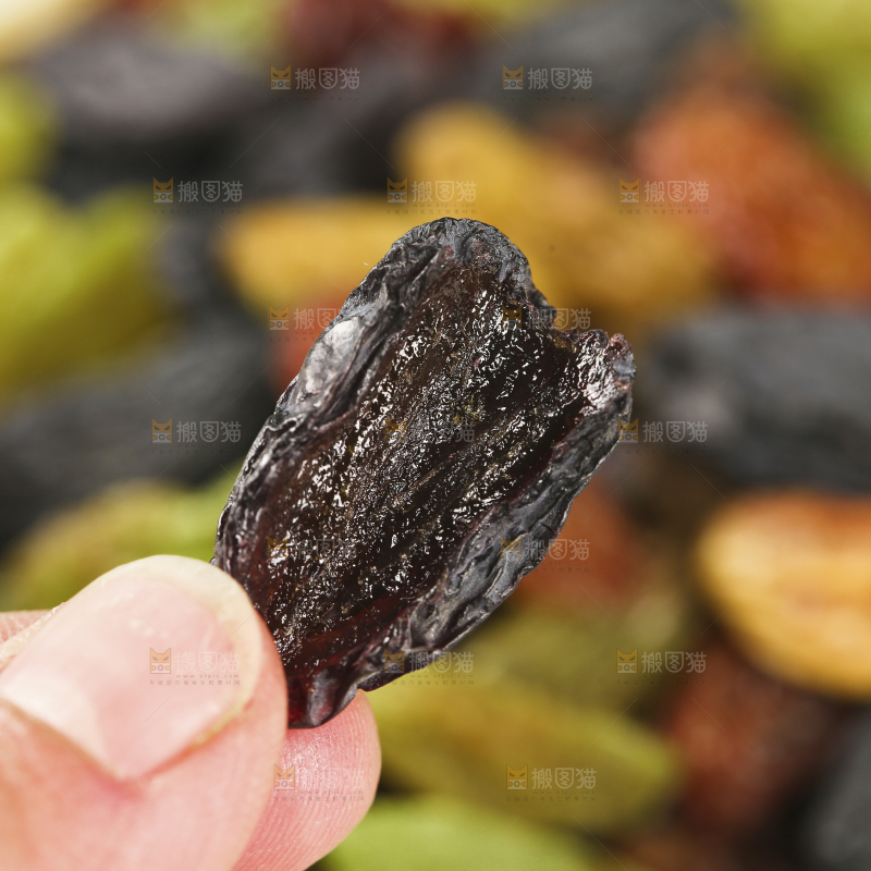 手里拿着黑加仑葡萄干