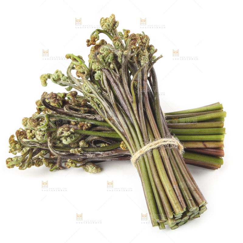白底上放着野生蕨菜