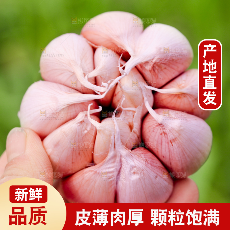 手里拿着多瓣蒜